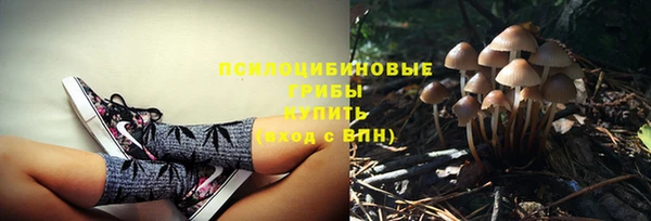 дмт Аркадак