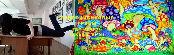 прущие крисы Армянск