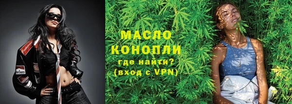 дмт Аркадак